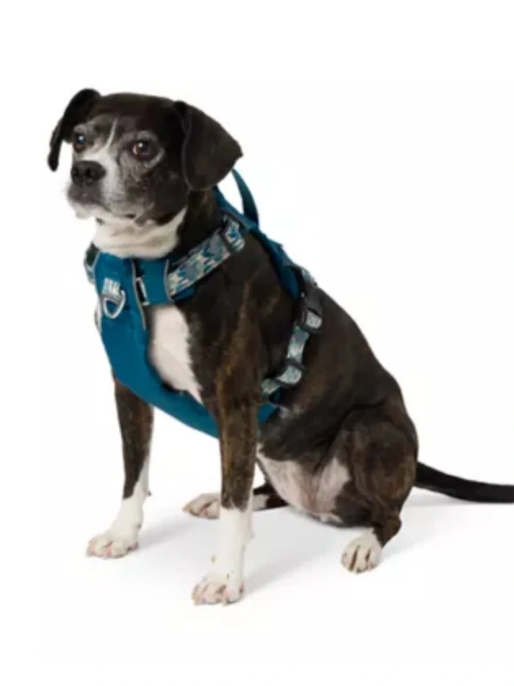 Arcadia Trail Lightweight Dog Harness Medium Mountain Hiking Walks Comfy EUC